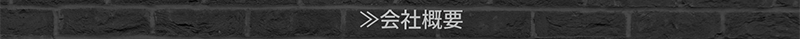 ナッツスタジオ-会社概要